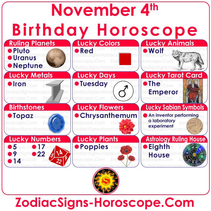 Born on Nov 4? (Discover Your Astrological Sign and Personality Secrets)