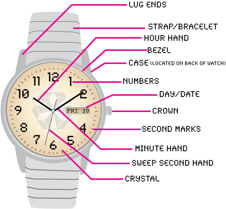 Wrist Watch Parts Diagram: A Visual Guide For Beginners!