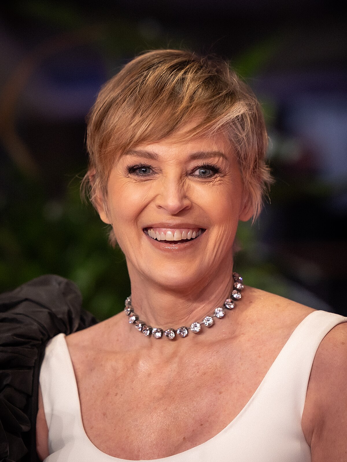 Sharon Stone 1998: Her Career and Life (A Look at Sharon Stones Big Year)