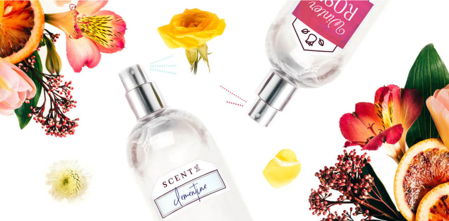 DIY Perfume Gift: How To Craft A Unique Scent For Someone Special?