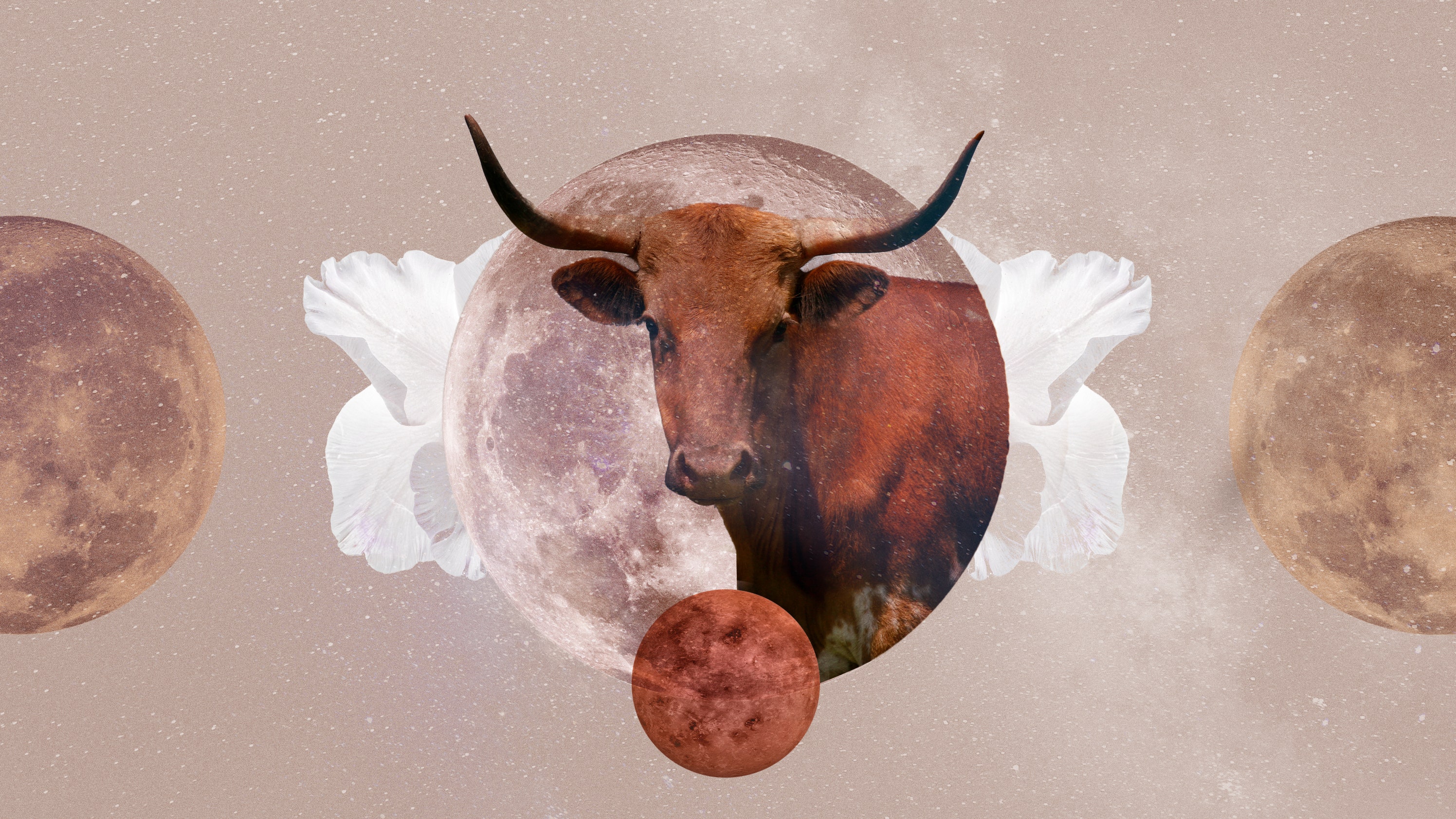 2024 for Taurus: Your Lucky Stars? (What to Expect This Year)