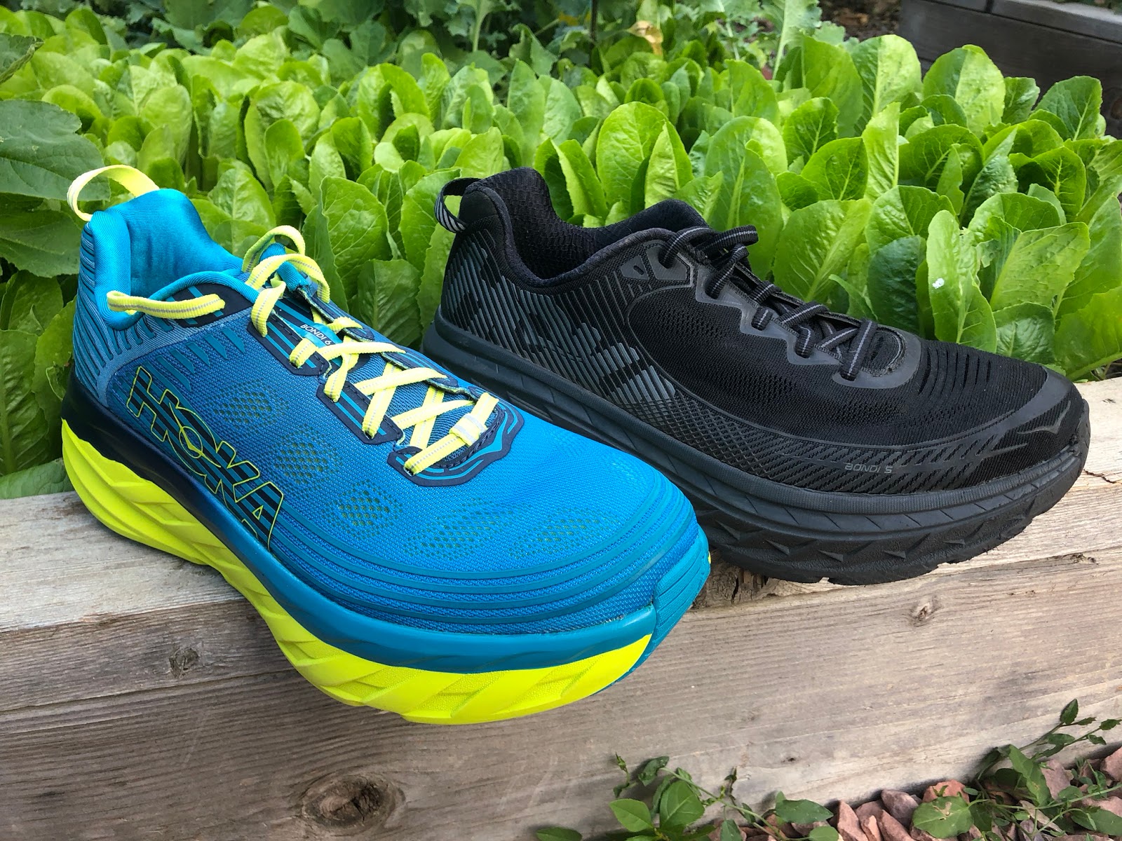 Bondi 5 Hoka vs. Bondi 6: Which One Is Better?