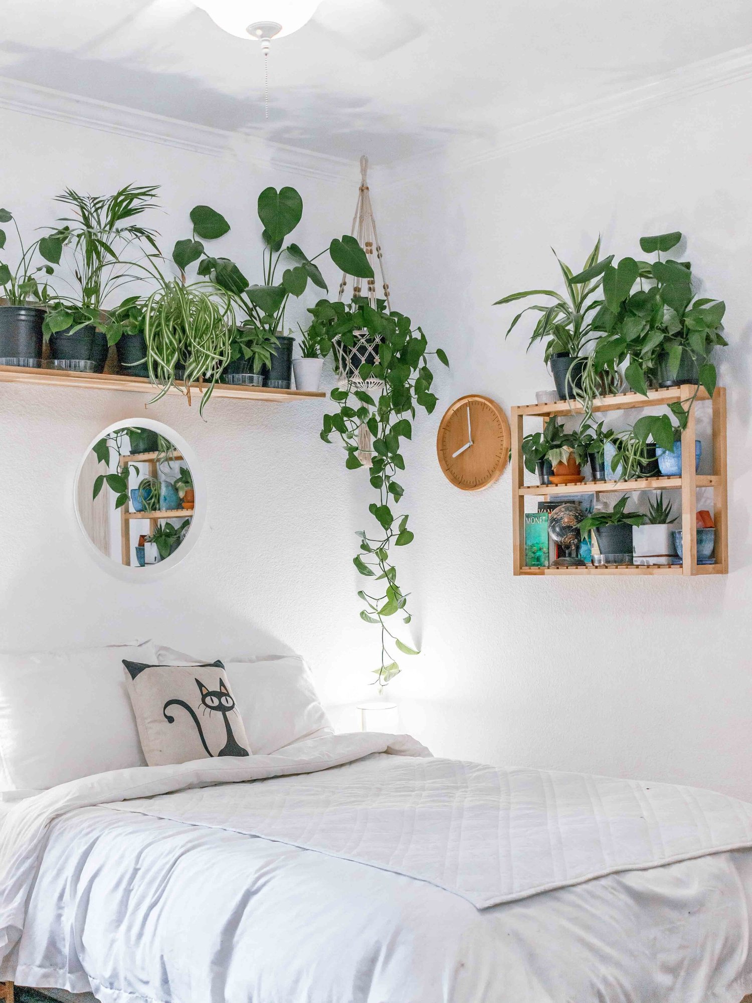 Easy Ways to a Jungle Look: Transform Your Space Today