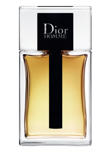 Dior Homme 2020: Check Out the Hottest Looks!
