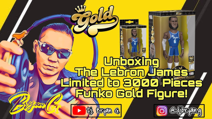 Lebron James Toy Unboxing: See Whats Inside the Box!