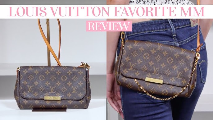 LV Damier Crossbody Bag: Is It Really Worth the Hype?