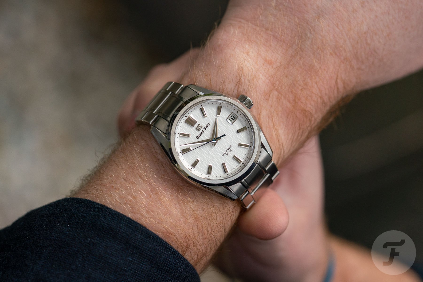 White Birch Spring Drive: Is it Worth the Hype (A deep dive into this popular watch)