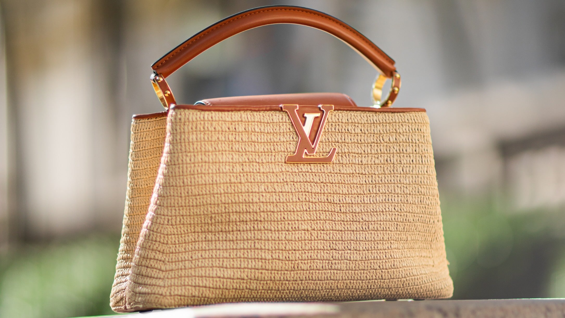 Top 5 Louis Vuitton Handbags Limited Edition You Must See