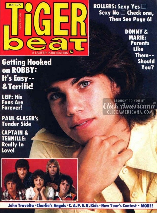 Tiger Beat Covers: Where to Find the Coolest Ones?