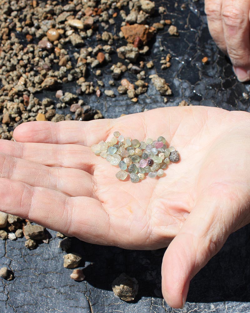 Sapphire Digging Montana: Everything You Need to Know