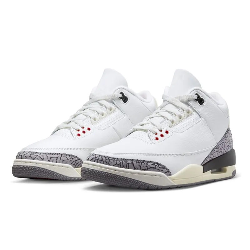 Where to buy Palomino 3s: Dont get scammed, use these trusted retailers!