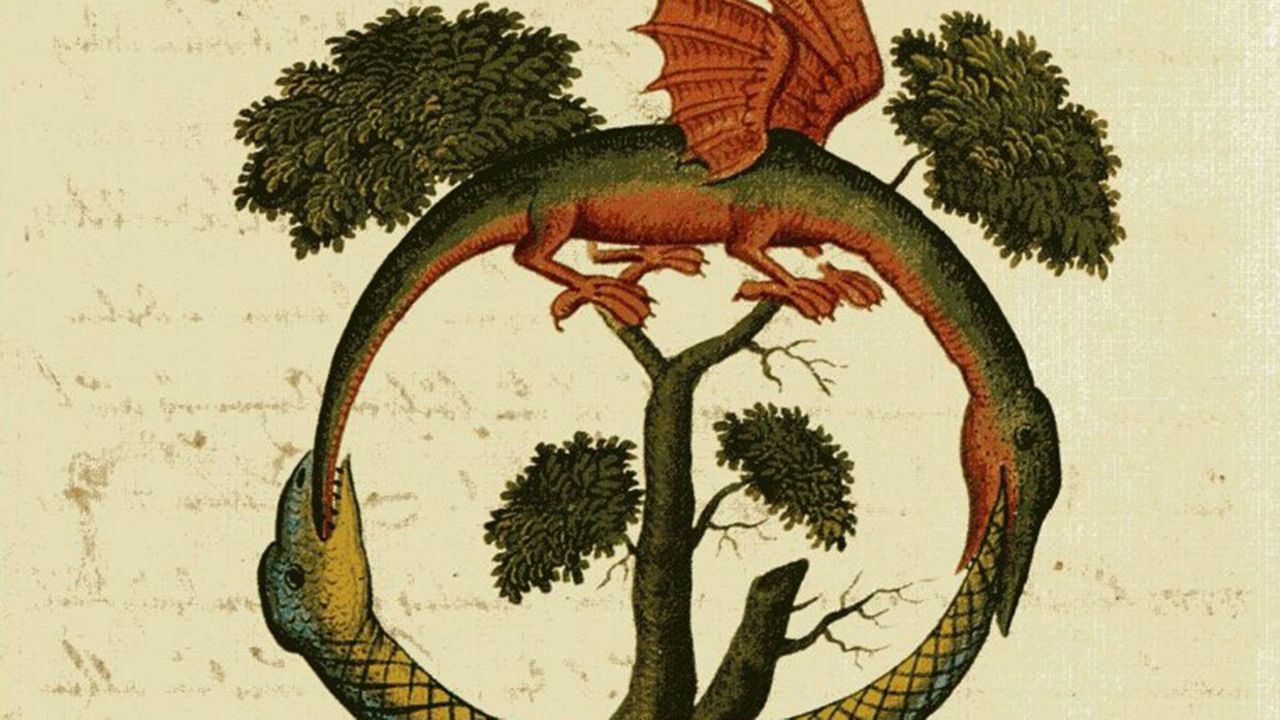 Ouroboros Logo: Why This Ancient Symbol Is Still Popular Today.