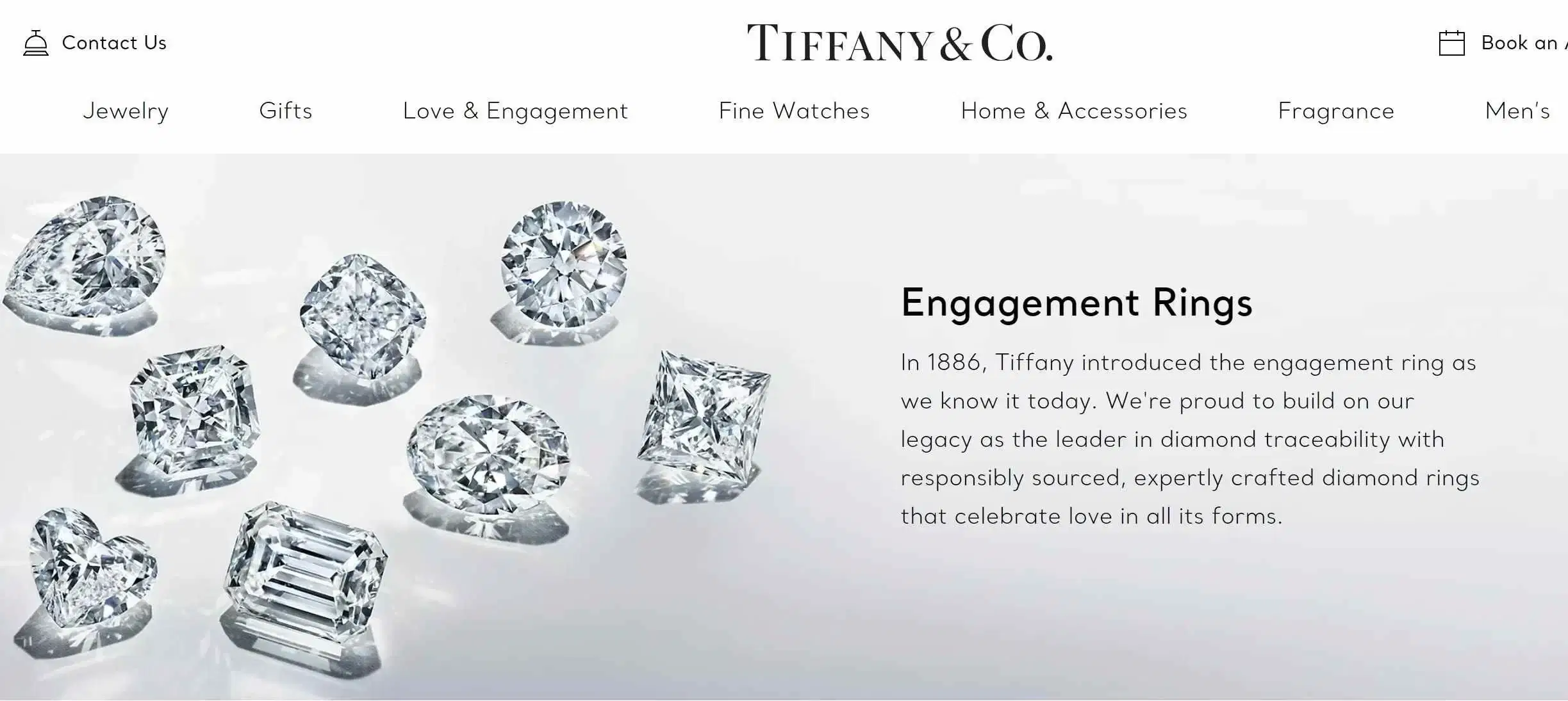 Tiffany and Cos Future: What Does It Look Like? Simple Guide Here!