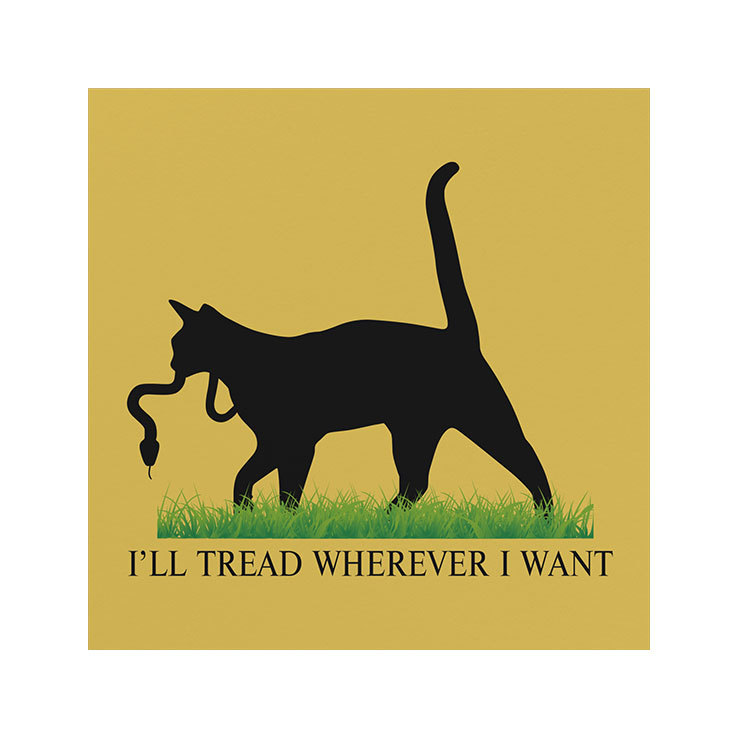 What ill tread wherever i want Means For Your Life