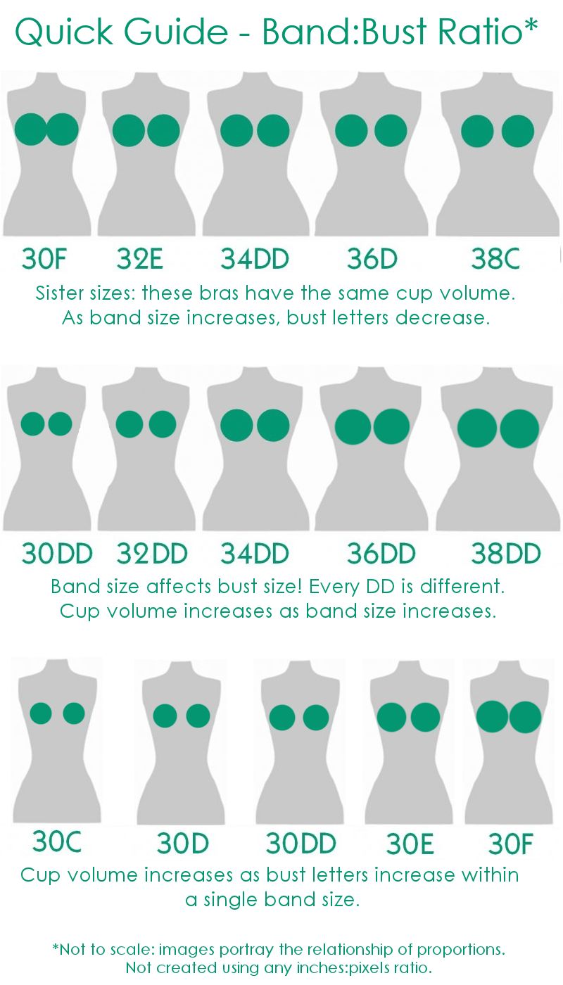 Cup Size Photo: Find the Right Bra Size (Heres a Visual Guide for You)