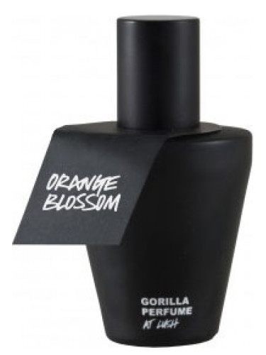 The Magic of Lush Orange Blossom: A Scent Review!