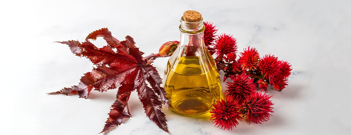 Try Castor Oil with Baking Soda: Does it Really Work?
