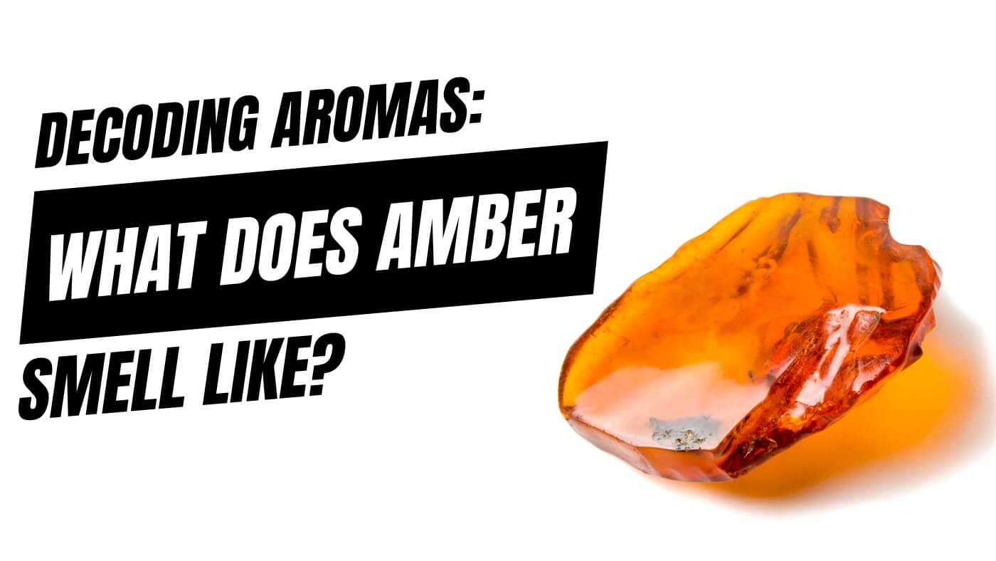 Why do people love amber smell? Learn about its unique appeal.