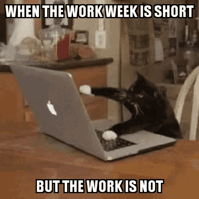 Holiday Work Week Meme: The Funniest Memes for the Short Week