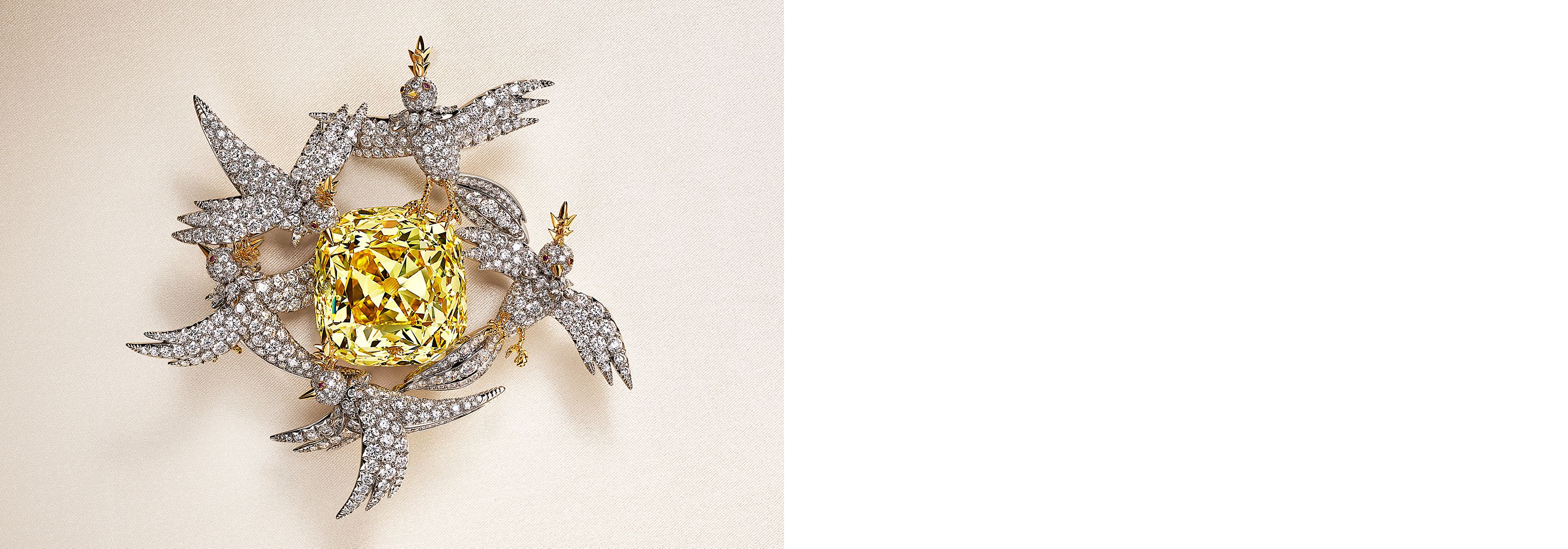 Whats the Buzz? Learn All About the Latest Major Milestone in Tiffany and Co History