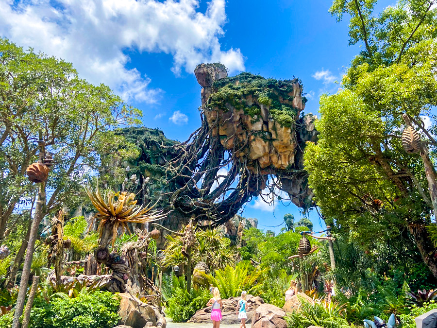 All About Pandora Branches: The Ultimate Guide You Need.