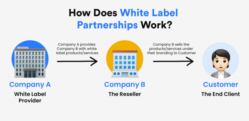 White brands explained (Simple tips to understand them)