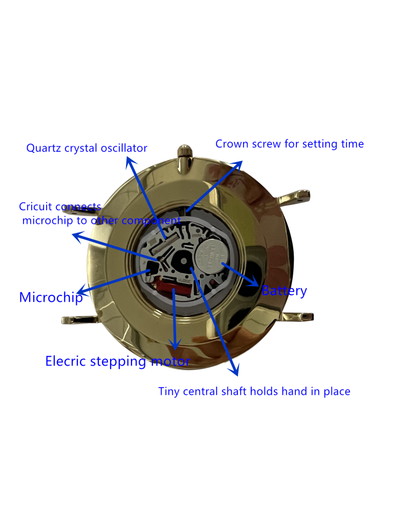 Quartz Transformer Watch: How Does It Work? (A Simple Guide)