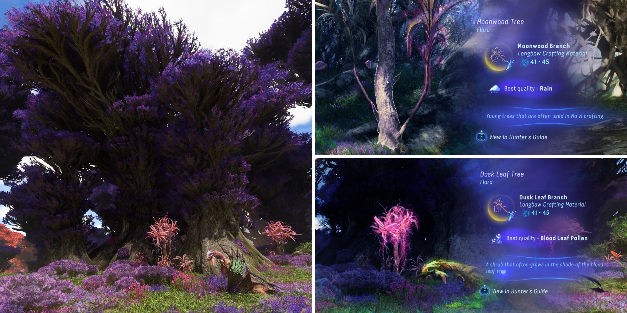 All About Pandora Branches: The Ultimate Guide You Need.