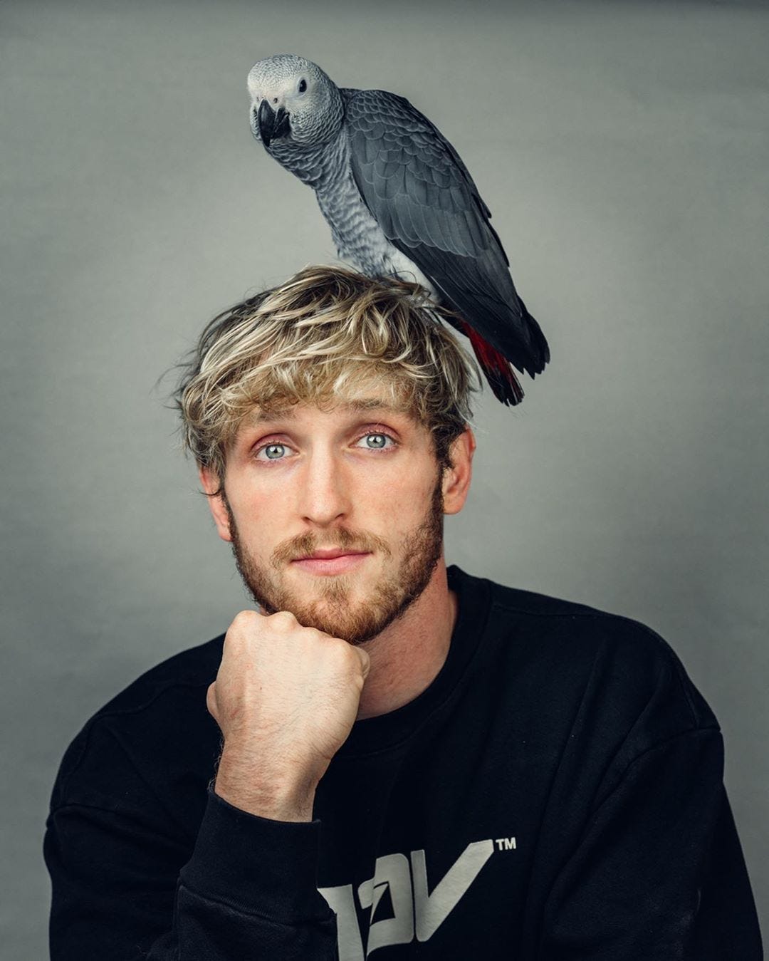 Maverick Logan Now: What Is the Famous YouTuber Up to These Days? Heres the Latest News!